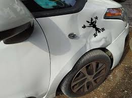 Quanto costano le pellicole auto e come fare per installarle alla perfezione. Adesivo Sagoma Coyote Per Carrozzeria Auto Per La Casa E Per Te Su Misshobby