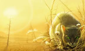 Home of erin hunter's #warriors #bravelands #survivors #seekers tag #warriorcatsofficial for a chance to be featured @harpercollinsus bit.ly/34sttfp. Warriors Official Artwork Warrior Cats Art Warrior Cats Books Warrior Cats