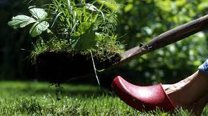 Damit der garten im frühling in voller blüte erwacht, möchte er im herbst fachgerecht gepflegt werden. Goldener Herbst Was Muss Jetzt Im Garten Noch Gemacht Werden Das Erste