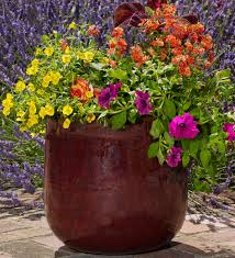Luckily, you don't have to invest a ton of money for styling. Set Of 3 Tall Red Glazed Peacock Planters Riverhill Garden Supplies