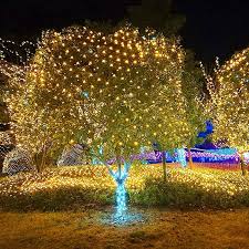 Christmas Lights, LED Christmas Net Lights Outdoor, Waterproof Christmas  Net Lights, 192 LED 9.8 FT x 6.6 FT 8 Modes Plug in, Decor for Bushes  Garden ...