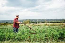 Pin On Ag Trends