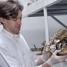 James MACLAINE | Senior Curator, Fish Section | Aquatic Bioscience BSc (Hons) | Natural History Museum, London, London | Department of Life Sciences | Research profile