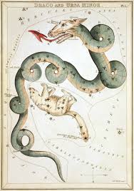 Image result for draco constellation