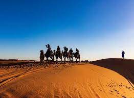 Of great importance is of course also your payload. How Much Weight Can A Camel Carry Riding Weight Limit