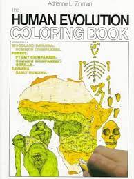 When autocomplete results are available use up and down arrows to review and enter to select. The Human Evolution Coloring Book By Adrienne L Zihlman