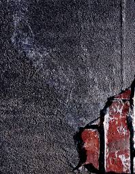 TENDERLOIN ISSUE i 1 San Francisco Arts Quarterly