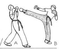 Kickboxing Wikipedia