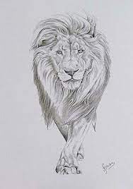 Almost Exact Lion Sketch Graffiti Designs Tattoos