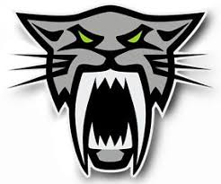 Arctic Cat Acquires Motorfist Perspectives As An Oem Dealer And Consumer