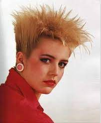 80 S Punk Hairstyle 80s Short Hair 80s Hair 80 S Hairstyle