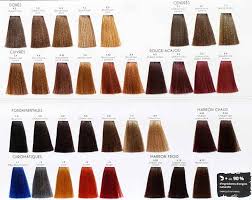 Color Chart Color One Mulato Vision Hair