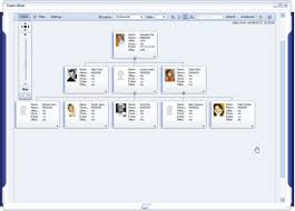 Mss Embedded Org Chart Visualization Free Ehp5 With Mss Add