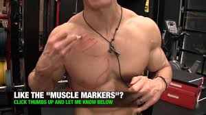 The movement that results from contraction is called the action of the muscle. Best Lower Chest Workout 8 Best Exercises Athlean X
