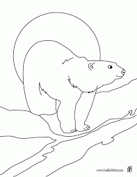 Check out some of our favorite antarctic animals coloring pages. Arctic Animals Coloring Pages Polar Bear Printable 96089 Antarctic Coloring Home