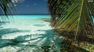 Desktop Beach Wallpaper Tumblr Images Slike Wallpapers iphone 6 wallpaper hd nature wallpaper hd iphone wallpaper windows 10 wallpaper wide ipho. desktop beach wallpaper tumblr images