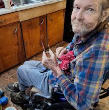 What are these insects in my grapes?