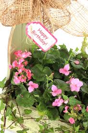 Get in touch with us today! Happy Birthday Flower Arrangement Stock Photo Picture And Royalty Free Image Image 13850460