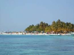 Check spelling or type a new query. Cayo Sombrero Hut Felseninsel Venezuela Tuya