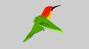 Humming Bird Rigged Animated C4d 3d Model In 2020 Bird Animation Low Poly 3d Models