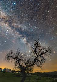 Spike island, ireland the other irish nominee, spike island, would also appreciate your vote. Under The Darkness The Sky Is Anything But Black Dark Sky Alqueva Reserve Portugal Image Credit Miguel Claro Darksky