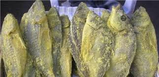 صيادين السمك أهالي العقبة جففوا وحنطوا السمك لأغراض غذائية وفني Places To Visit Fish Visiting