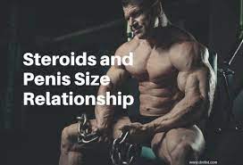 Steroids and Penis Size Relationship | Dr. Elist Penile Surgery