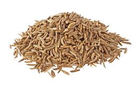 It can be used in its natural form or ground. Cumin Suppliers Importers Exporters Sleaford Quality Foods