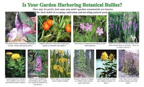 +7(495) 411 11 21 or by sending a letter via e.email: Washington State Noxious Weed Control Board