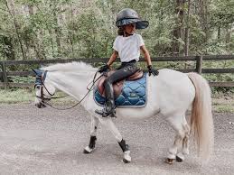 Check spelling or type a new query. Pony Lifespan 101 Life Stages Teeth Senior Pony Care