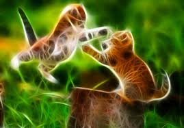 Hd wallpapers and background images Cat Wallpaper Neon