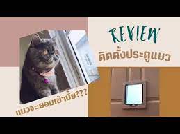 review ต ดต งประต แมว แมวจะเข าได ม ย มาล นก น ในป 2021