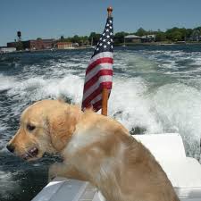 Family pet centre‏ @familypetcentre 26 нояб. Golocalprov Multiple Pet Owners Criticize Rhode Island Veterinarian Sparked By Dog S Death