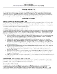 mortgage underwriter resume sample insurance underwriter resume job ...