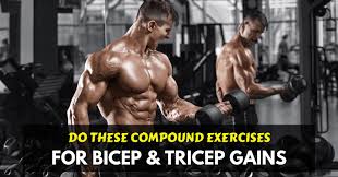 pound exercises for bicep and tricep