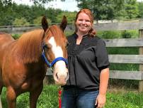 Road to the Classic Seminar Series: Horse Inspection Tips