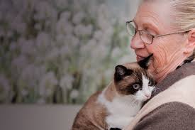 We pride ourselves in responding quickly to 24/7 emergency needs as well as scheduled appointments. Pacific At Home In Home Pet Euthanasia And Hospice Care