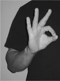 E manual alphabet used in mexico is made up of handshapes representing the. Sign Language Contact And Interference Asl And Lsm Language In Society Cambridge Core