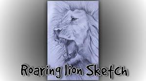 Draw a few more lines on the lion's face for the wrinkles and to emphasize the growl. Roaring Lion Sketch Lion Face Sketch Youtube