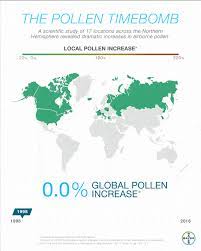 Why Are Seasonal Allergies On The Rise Bayer