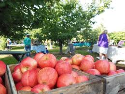 Johnson Orchards Yakima Wa In A State Known For Apples This Place Is A Favorite It Was Established By Swedish Immigran Apple Picking Washington Apple Apple