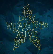 eliza look around, look around at how lucky we are to be alive right now! 41 Hamilton Ideas Hamilton Hamilton Musical Alexander Hamilton
