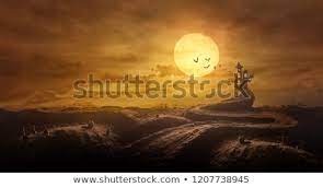 Halloween Background Through Stretched Road Grave To Castle Spooky In Night Of Full Moon And Bats Flying Halloween Backgrounds Background Photo