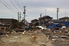 See more of japan 311 earthquake tsunami ( 日本仙台大地震海嘯 ) news info on facebook. 311ä¸œæ—¥æœ¬å¤§åœ°éœ‡ 10å'¨å¹´é€¾4ä¸‡äººä»å›žä¸äº†å®¶ äººåœ¨æ´›æ‰çŸ¶ç½'lapeople Com
