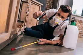 Our technicians have an average of over 17 years pest control experience in the greater grand rapids. Best Pest Control Near Me