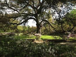 Faculty Web Page for Dr. Kevin S. McCarter, Ph.D.