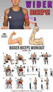 Health Fitness Gym Your Daily Dose Of Well Being Big Biceps Workout Bicep And Tricep Workout Good Arm Workouts