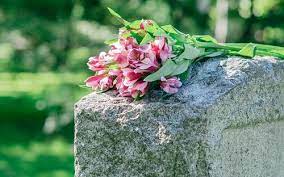 Stalkeadora oficial de chris evans y robert downey. Gonzalo Robles Death Obituary Gonzalo Robles Has Died Funeral Dead Newdeaths Com