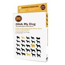 Depending on what you want to this cat was a total champ through the sample collection process for the cat dna test kit. Best Dog Dna Tests Of 2021 Reviews Of Wisdom Panel Embark Dna Test Dna My Dog