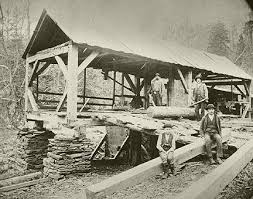 We did not find results for: Sawmill 1880 S Sawmill Lumber Mill Old Pictures